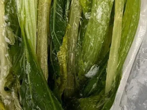 5 thực phẩm “nhìn tươi ngon” nhưng vi khuẩn nhiều khủng khiếp, cảnh báo người thân vứt ngay kẻo rước bệnh!