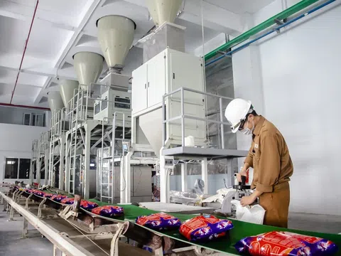 Hóa chất Đức Giang đang 'ngồi trên núi tiền'
