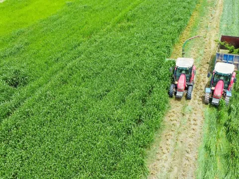 Vinamilk "Mở khóa tự nhiên" tại Green Farm: Mô hình sinh thái truyền cảm hứng đến cộng đồng doanh nghiệp
