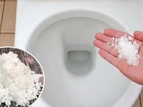 Rắc vài hạt muối vào bồn cầu, cả gia đình nhận lại lợi ích không ngờ