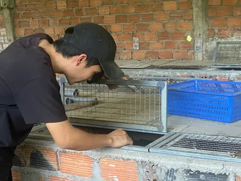 Nuôi con "hiền lành, mắn đẻ", chàng trai 9X thu lãi 500 triệu đồng/năm