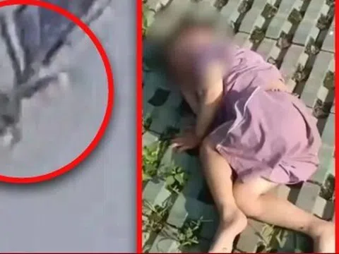 Ngã từ tầng 18, cậu bé 3 tuổi thoát chết kỳ diệu nhờ chạm vào cây