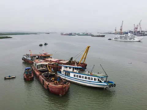 Bảo hiểm chi trả hơn 23 tỷ đồng vụ lật tàu ở Hạ Long