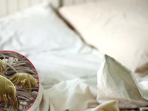 Hai món đồ trên giường là ổ vi khuẩn, bẩn dai dẳng nhưng 80% người dùng bỏ qua việc vệ sinh