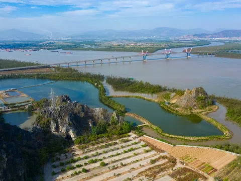 Vingroup tính chi 14 tỷ USD làm bến cảng và trung tâm logistics