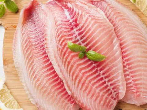 Đi chợ thấy loại cá này phải mua ngay: Nhiều protein hơn hẳn cá hồi nhưng giá chỉ bằng 1/10
