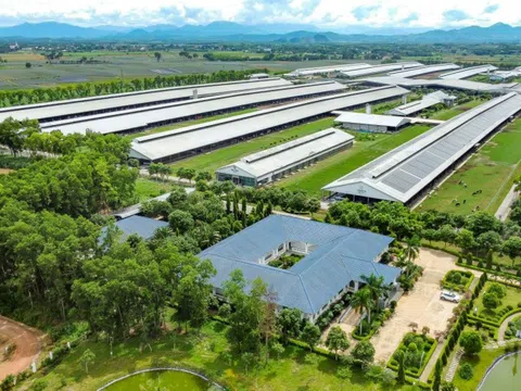 Vinamilk được vinh danh là thương hiệu sữa tiềm năng nhất thế giới