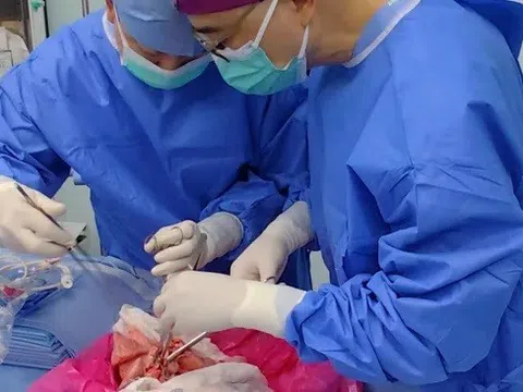 Lần đầu tiên trong lịch sử phổi lợn được cấy ghép thành công cho người