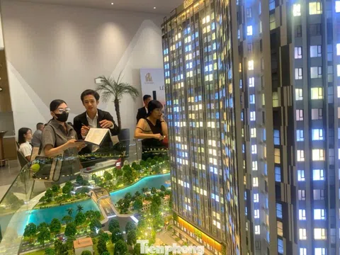 Làm gì để chặn môi giới bất động sản 'lùa gà' khách hàng?