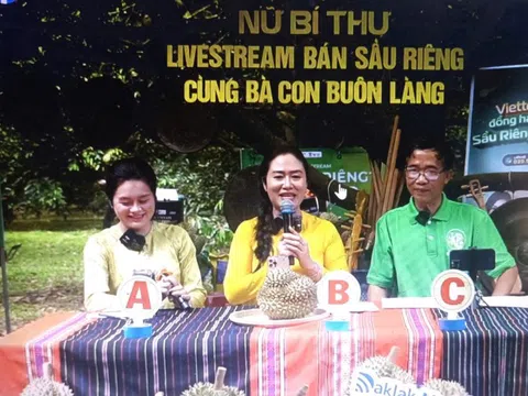 Nữ Bí thư xã livestream bán sầu riêng: Khi niềm tin được "chốt đơn"