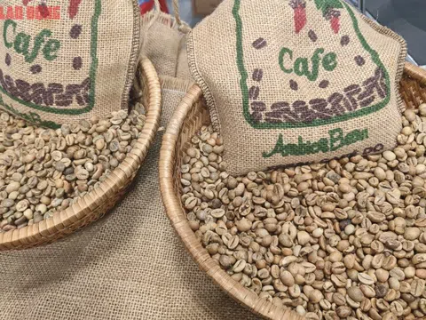Giá cà phê hôm nay 28-8: Khó tin, Robusta tăng mạnh phiên thứ 6 liên tiếp