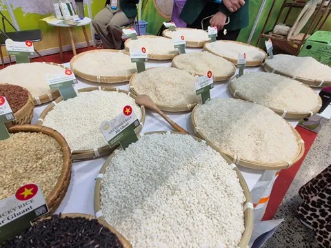 Lại lo đầu ra cho gạo