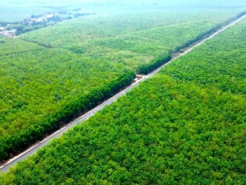Chốt hạn về đích 2 tuyến đường kết nối trọng điểm phía Nam