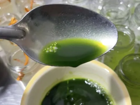 Loại nước xanh được ví như "nhân sâm" ở Nhật Bản: Dễ làm nhưng phòng nhiều bệnh, giảm cân, đẩy lùi lão hóa