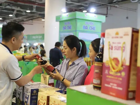 Chương trình khuyến mại tập trung quốc gia 2025 kích cầu tiêu dùng cho thị trường nội địa
