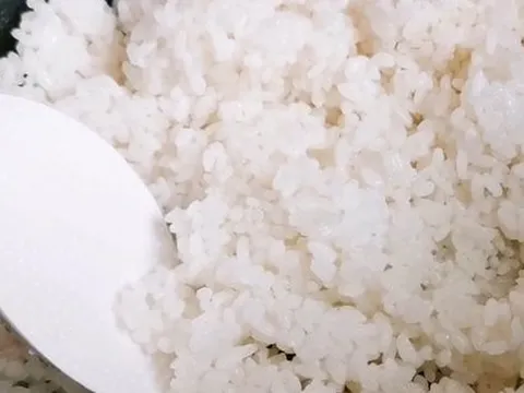 Ăn cơm nguội để qua đêm có hại không?