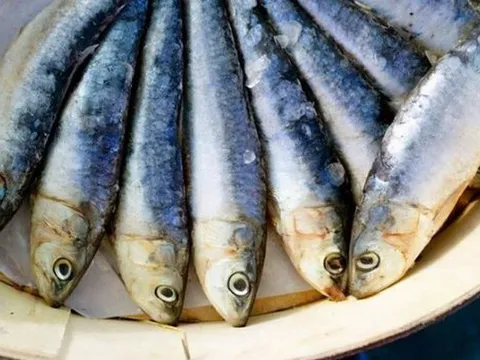 Loại cá dễ gây ung thư bậc nhất, nhiều người không biết vẫn ăn hàng ngày