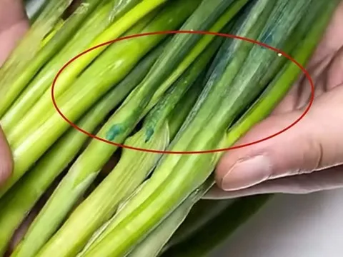 5 loại rau quả "ngậm thuốc" nhiều nhất chợ, tiểu thương lâu năm nói thẳng không bao giờ cho gia đình ăn