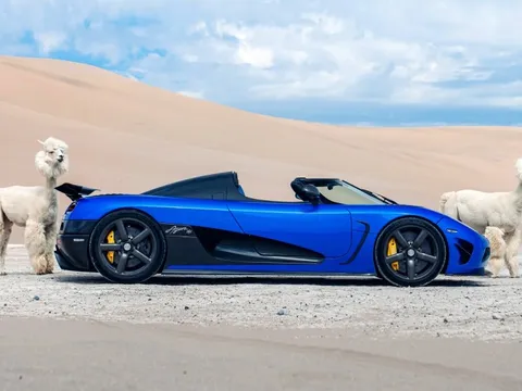Siêu xe Koenigsegg Agera HH 'khoe dáng' cùng lạc đà Alpaca