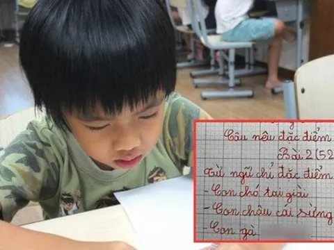 Học sinh tiểu học tả con gà, sáng tạo ra 1 từ khiến nhiều người tra từ điển muốn ngất vẫn không ra đáp án