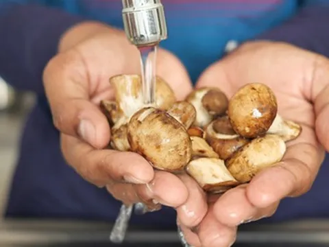 6 loại nấm tuyệt đối không nên rửa vì mất hương vị, thậm chí gây ngộ độc