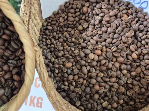Giá cà phê hôm nay 8-9: Có tăng lại?