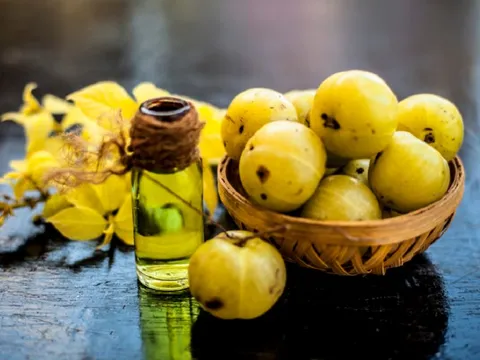 Loại quả dại xưa rụng đầy gốc, nhặt về chế biến kiểu này "hái ra tiền" nửa triệu/kg