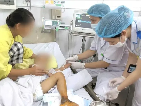 Bé trai 4 tuổi nhập viện trong tình trạng bệnh nặng do bị mèo cắn, bác sĩ nhấn mạnh tuyệt đối không làm 1 điều