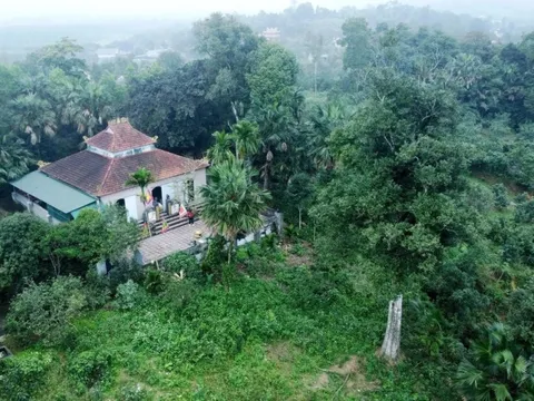 Hai 'báu vật sống' hơn 200 năm tuổi ở Hà Tĩnh: Trị giá trăm tỷ, nay chính thức trở thành Di sản Việt Nam