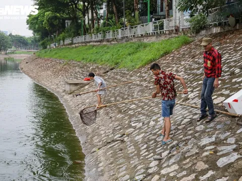 Sông Tô Lịch được bổ cập nước từ Hồ Tây, người dân mang vợt, cần câu đánh bắt cá