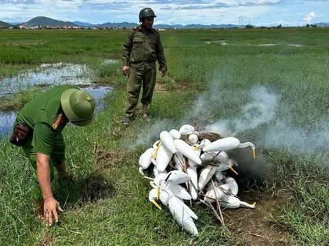 Bóc mẽ sự thật phía sau cánh đồng quê ở Quảng Trị