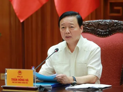 Phó Thủ tướng: Áp dụng bảng giá đất 5 năm một lần, kèm hệ số biến động thị trường