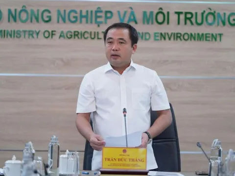 Xuất khẩu gạo của Việt Nam không bị ảnh hưởng