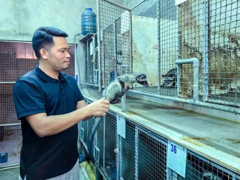 Nuôi động vật hoang dã để làm giàu, sao cho đúng luật?