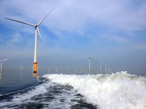 Điện gió ngoài khơi không tìm thấy tương lai ở cường quốc kinh tế số 1 thế giới