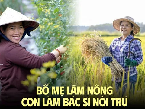 Ngày con trai tốt nghiệp bác sĩ nội trú, tôi như có thêm “một cuộc đời thứ 2”: Một người mẹ làm nông thành công!