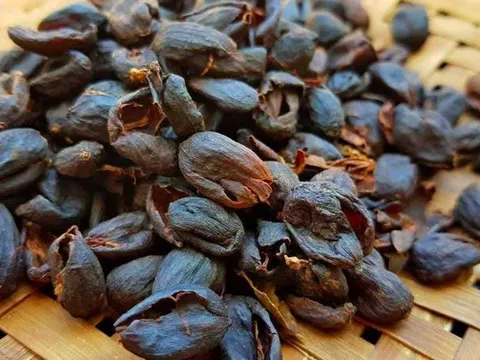Loại vỏ quả người Việt từng vứt bỏ nay được săn lùng: Chế biến thành "đặc sản thế giới" giá tiền triệu/kg
