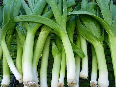 Đừng bỏ lỡ: 3 loại rau củ rẻ tiền nhưng là "kho kháng sinh tự nhiên" cho cả nhà