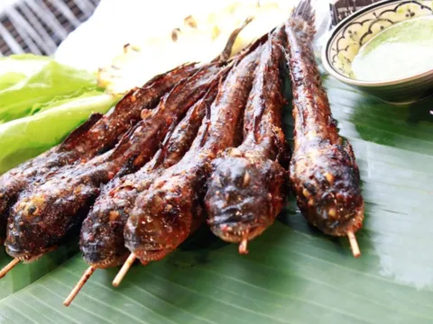 Loài sinh vật kỳ lạ nhất hành tinh có mặt ở miền Tây, ai ngờ lại thành món đặc sản "phá mồi"