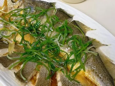 Loại cá này thực sự là "vị cứu tinh" cho những người có hệ miễn dịch kém: Nó thúc đẩy sự phát triển cơ bắp và sản xuất máu, siêu giàu protein