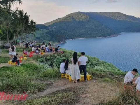 Một resort trên bán đảo Sơn Trà bị phạt vì vi phạm về môi trường
