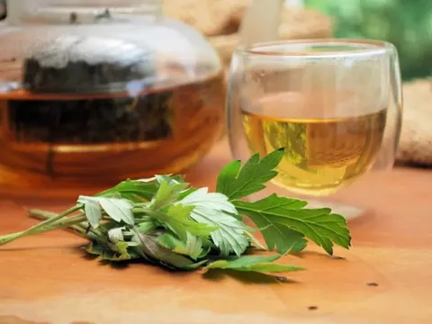 Nhật Bản đánh giá loại lá này tốt ngang "thuốc bổ" giúp sống thọ 100 tuổi: Chợ Việt bán nhiều, giá cực rẻ