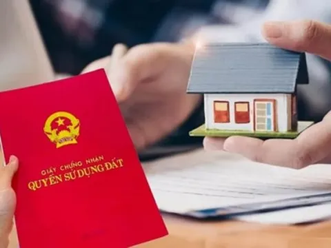 Mất tiền tỉ vì nhờ kẻ lừa đảo làm sổ đỏ