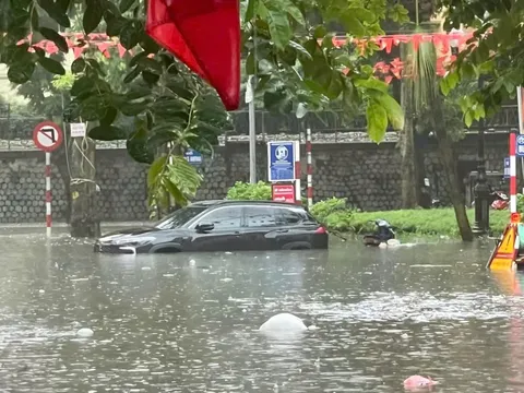 Bảo hiểm phải đền bù gần 40 tỷ đồng thiệt hại xe cơ giới do bão Bualoi