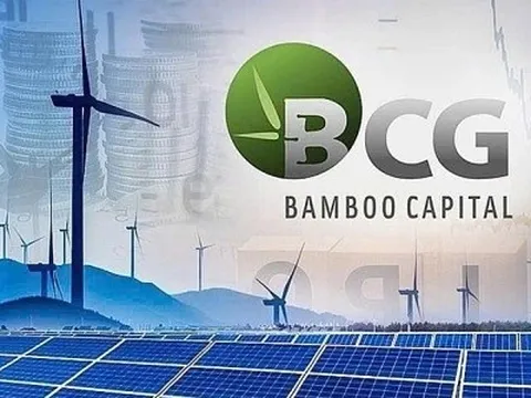 Bamboo Capital và Tracodi xin lỗi cổ đông