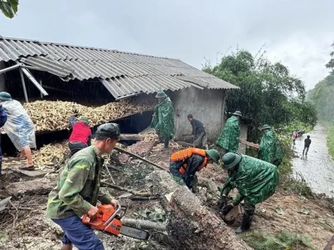 Chỉ đạo của Bộ Chính trị về khắc phục hậu quả do bão số 10 gây ra