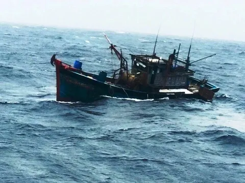 Tìm thấy thi thể chủ tàu cá bị tàu nước ngoài tông chìm trên biển