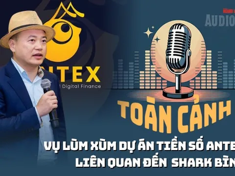 Cú sập của tiền số AntEx liên quan Shark Bình: Lý do tài sản bốc hơi 99%