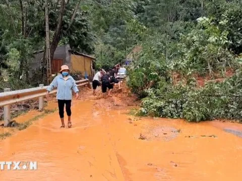 Hạ tầng giao thông đường bộ thiệt hại gần 1.000 tỷ đồng do bão số 10
