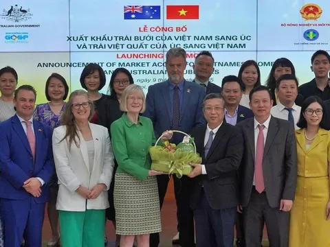 Trái bưởi của Việt Nam chính thức có "visa" vào Úc